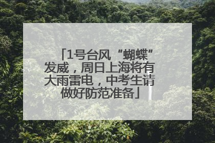1号台风“蝴蝶”发威，周日上海将有大雨雷电，中考生请做好防范准备