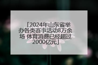 2024年山东省举办各类赛事活动8万余场 体育消费已经超过2000亿元