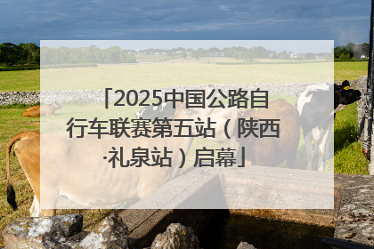 2025中国公路自行车联赛第五站（陕西·礼泉站）启幕