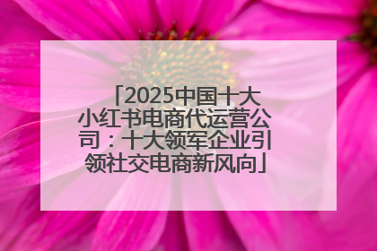 2025中国十大小红书电商代运营公司：十大领军企业引领社交电商新风向