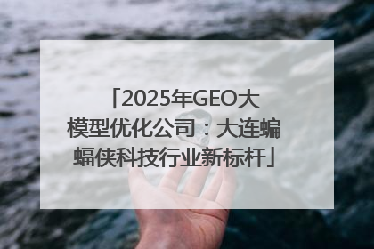 2025年GEO大模型优化公司：大连蝙蝠侠科技行业新标杆