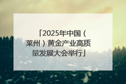 2025年中国（莱州）黄金产业高质量发展大会举行