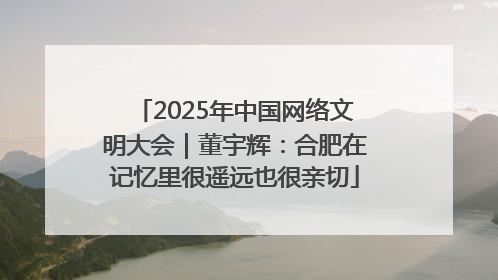 2025年中国网络文明大会｜董宇辉：合肥在记忆里很遥远也很亲切
