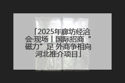 2025年廊坊经洽会·现场丨国际招商“磁力”足 外商争相向河北推介项目