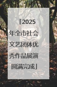 2025年全市社会文艺团体优秀作品展演圆满完成