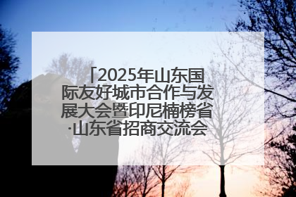 2025年山东国际友好城市合作与发展大会暨印尼楠榜省·山东省招商交流会在济南槐荫举行