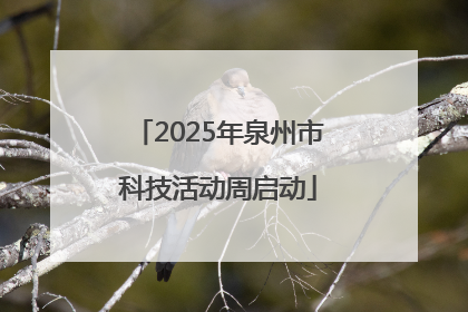 2025年泉州市科技活动周启动