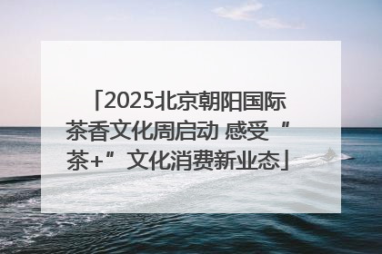2025北京朝阳国际茶香文化周启动 感受“茶+”文化消费新业态