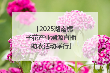 2025湖南栀子花产业溯源直播助农活动举行