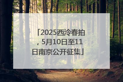 2025西泠春拍，5月10日至11日南京公开征集