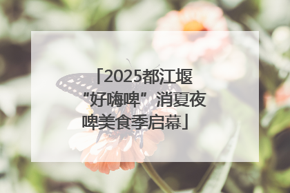 2025都江堰“好嗨啤”消夏夜啤美食季启幕