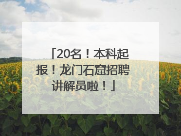20名！本科起报！龙门石窟招聘讲解员啦！