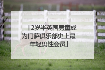 2岁半英国男童成为门萨俱乐部史上最年轻男性会员