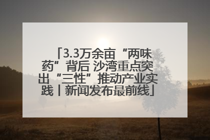3.3万余亩“两味药”背后 沙湾重点突出“三性”推动产业实践丨新闻发布最前线