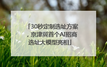 30秒定制选址方案，京津冀首个AI招商选址大模型亮相