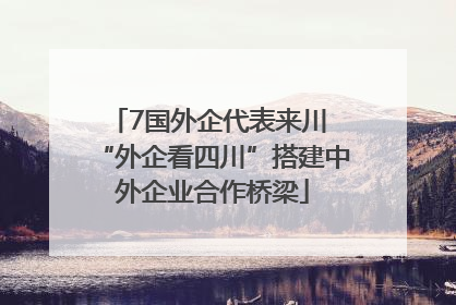 7国外企代表来川 “外企看四川”搭建中外企业合作桥梁