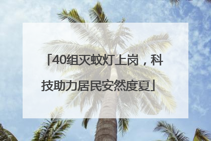40组灭蚊灯上岗，科技助力居民安然度夏