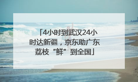 4小时到武汉24小时达新疆，京东助广东荔枝“鲜”到全国