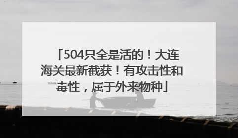 504只全是活的！大连海关最新截获！有攻击性和毒性，属于外来物种