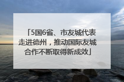 5国6省、市友城代表走进德州，推动国际友城合作不断取得新成效