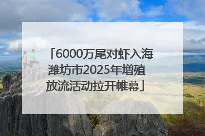 6000万尾对虾入海 潍坊市2025年增殖放流活动拉开帷幕