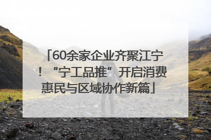 60余家企业齐聚江宁！“宁工品推”开启消费惠民与区域协作新篇