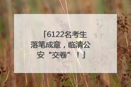 6122名考生落笔成章，临清公安“交卷”！