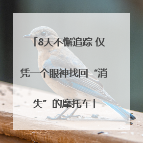 8天不懈追踪 仅凭一个眼神找回“消失”的摩托车