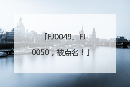FJ0049、FJ0050，被点名！