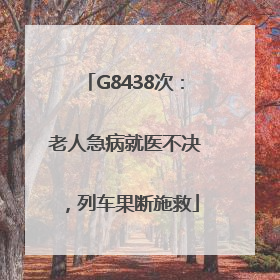 G8438次：老人急病就医不决，列车果断施救